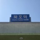 묵호식당맛집 | [국내/묵호] 묵호 한섬식당 후기｜한섬해변 근처 동해 해산물 한상 맛집