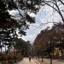 시나본여의도 이미지