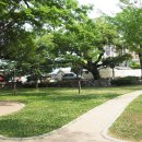 해남읍 단군전 이미지