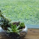 옥희농장 이미지