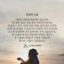 조율