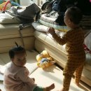 386친구들 이미지