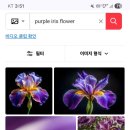 (주)인산조경