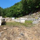 #야생화꿀먹는법 #야생화숙성꿀먹는법 #잡화꿀먹는법 이미지