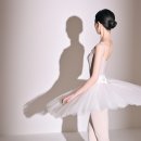 유 정