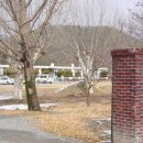 신녕서부초등학교 이미지