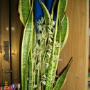 신안유도체육관 이미지