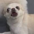 MUNG GAE 네이버블로그