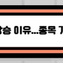 내츄럴에스앤디