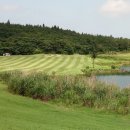 스프링데일 골프&리조트 이미지