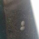 제이댄스 아카데미 이미지