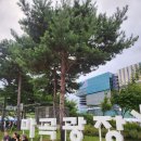 강서구둥지푸드마켓 | 마곡 mct 페스티벌 후기 공연 페스티벌 푸드트럭 플리마켓 총정리