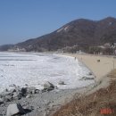 일단정지 이미지