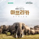 대륙카서비스 이미지