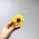 해바라기가맥 이미지