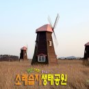 갯벌생태 체험장 이미지