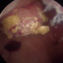 하이닥터 비뇨의학과 의원 이미지