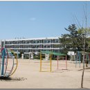 학림초교 이미지