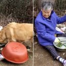 해탈, 그 이후의  이미지