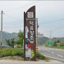 덕유개발