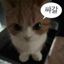 세인푸드 | 5월~ 야호~!