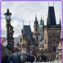 운동으로 지키는 관절 건강 이미지