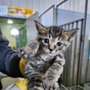 죽5리길 이미지