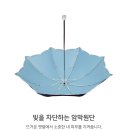 앤틱자수 | 아가타 자외선차단 엔틱끝단자수 양산 케이스 선물세트 쇼핑백 포함 후기 정보 요약
