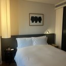 호텔신라 | 강남 비즈니스 호텔 신라스테이 역삼 디럭스 더블 주차 후기