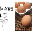 푸른들농장 이미지