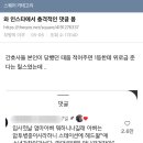(더쿠 스크랩) 와 인스타에서 충격적인 댓글 봄 이미지