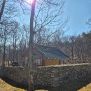 장정리 | 강화 장정리 석조여래입상