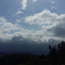 미르하우스1157 이미지