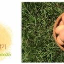 송원농장 이미지