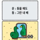 하누도니 | 여름이 떠나가요