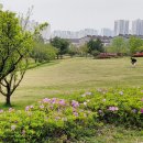 현촌근린공원 이미지