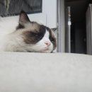 상우1차(아) 경로당 | 블챌) 2025년 12월 2주 차의 슈룹