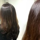 영양나눔 | 헤어클리닉 홈케어 파이브센스 트리트먼트 영양클리닉 솔직 후기
