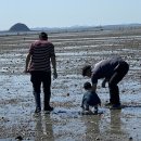 바다사랑민박 이미지