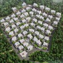 파인트리하우스 이미지