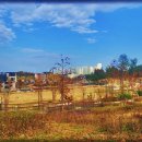 고덕신도시 이미지