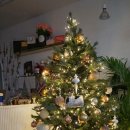 유카플라워&가든 이미지