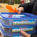 삼닭농장 | 강릉 아이랑 가볼만한곳｜쌍둥이 동물농장 먹이주기 체험 삼남매 반응