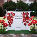 청룡초등학교 (청룡초 병설 포함) 이미지