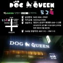 도그퀸 이미지