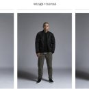 WINGS