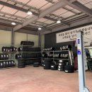 타이어1993 이미지