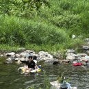 메가커피포천신읍점 | 포천 담터 계곡 캠핑장 2박 3일 with 타프스크린 철원 맛집