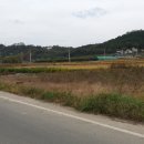 고경농장 Daum카페