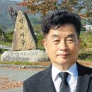 박사리 조선일보